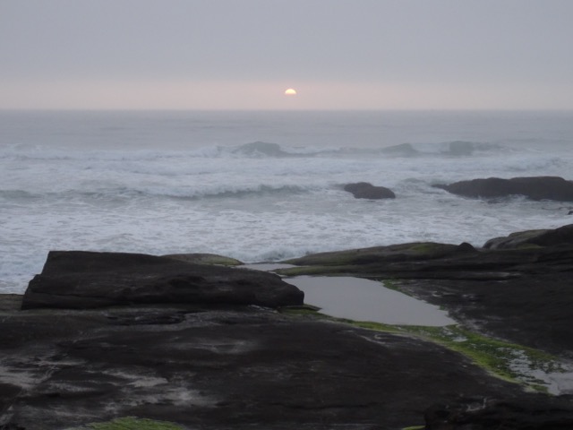 DSC04786