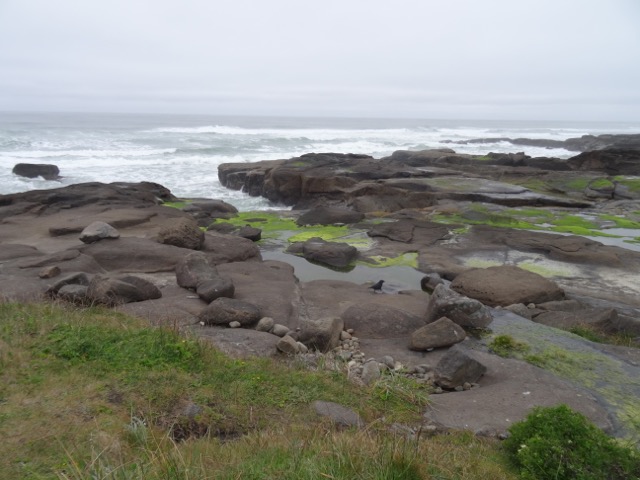 DSC04986