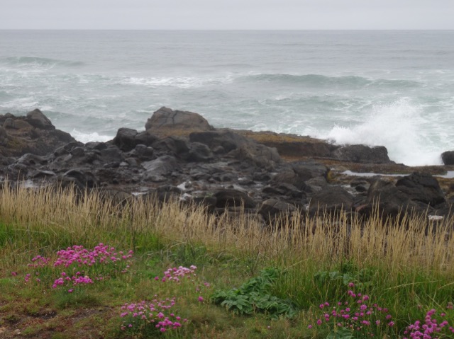 DSC04990