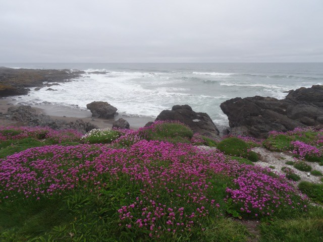 DSC05026