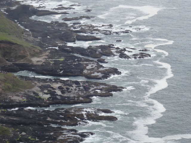DSC05234