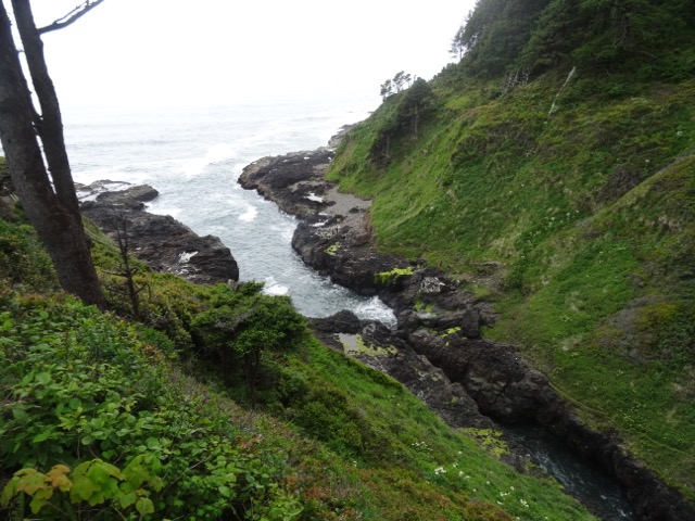 DSC05237