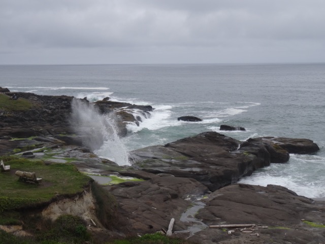 DSC05246