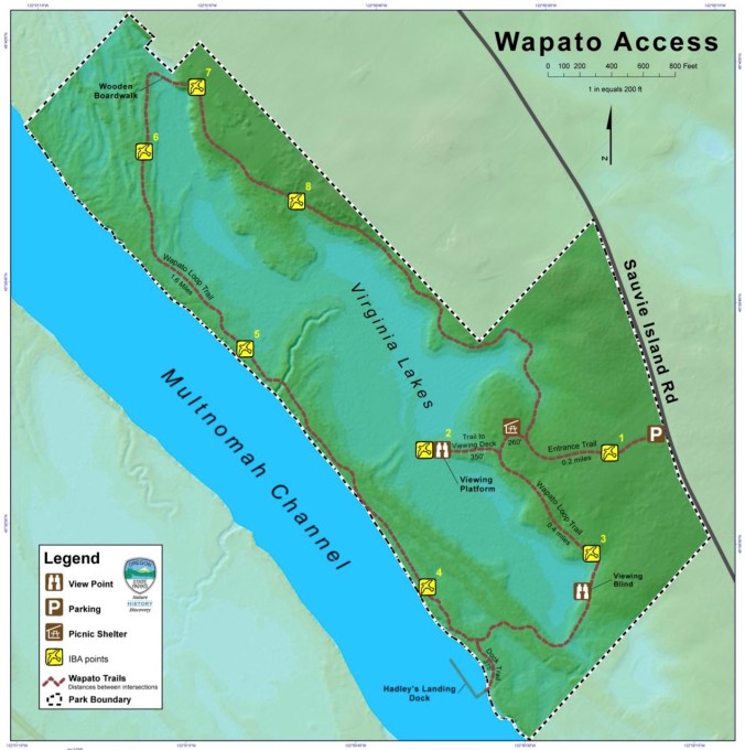 Screen Shot 2017-11-12 at 4.31.51 PM