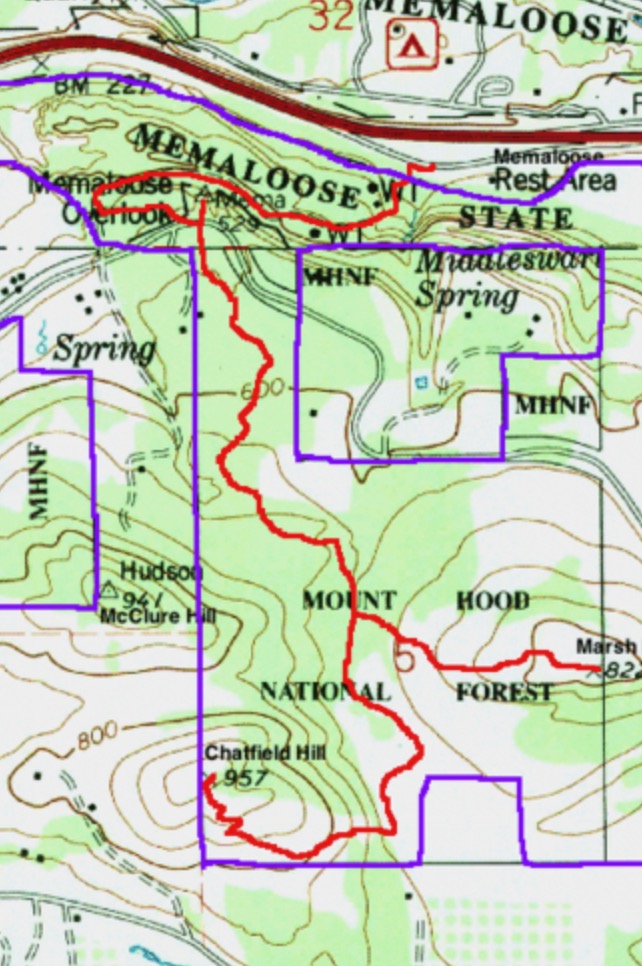 Screen Shot 2018-03-19 at 4.04.07 PM