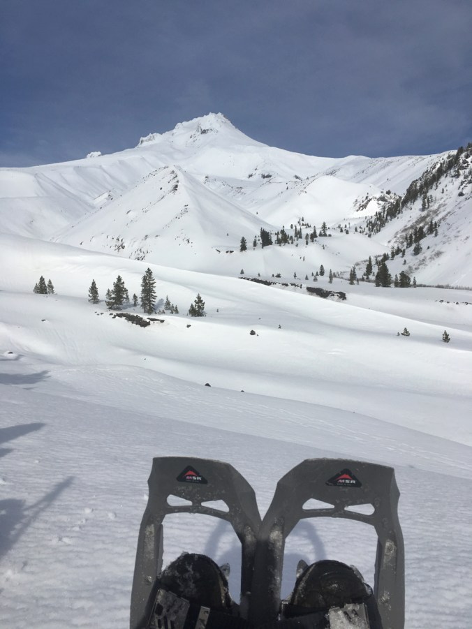 57005428396__db402ac3-7088-4100-ab2d-2ee01ae59d47