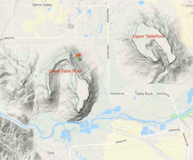 Screen Shot 2019-04-24 at 9.49.02 AM