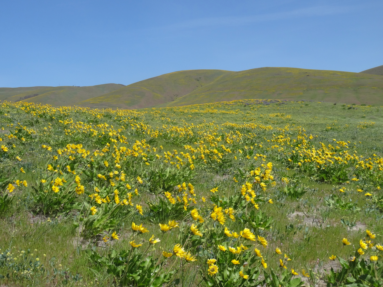 DSC03747