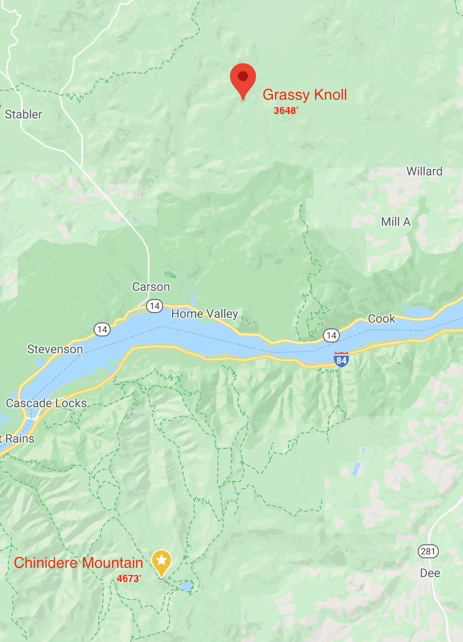 Image 6-25-20 at 3.59 PM