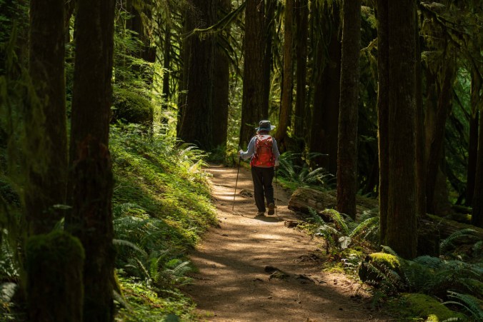 116161295_3650036398357670_598020101229165957_o