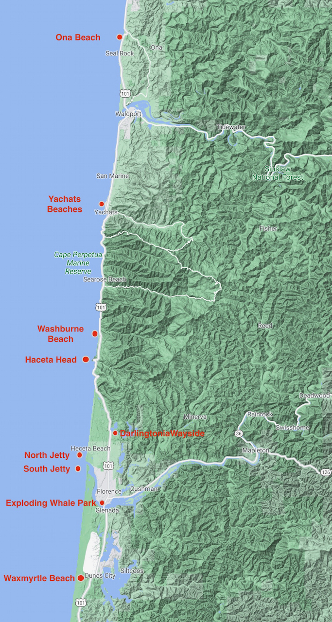 Screen Shot 2020-10-11 at 2.45.57 PM