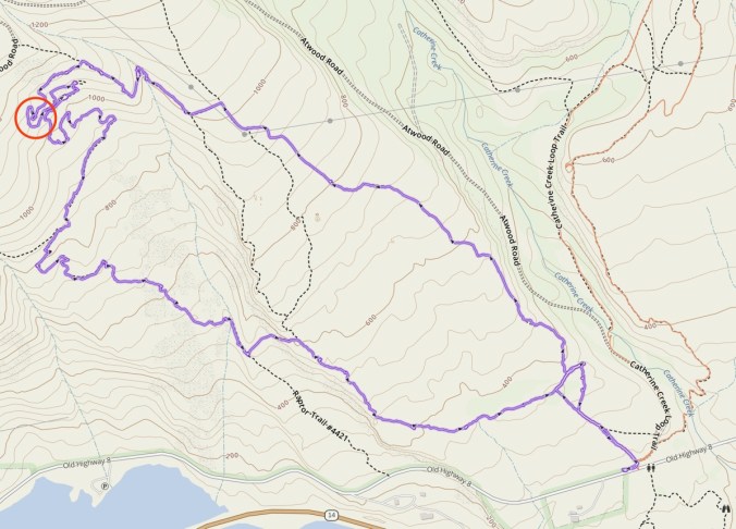 Image 12-15-20 at 5.58 PM