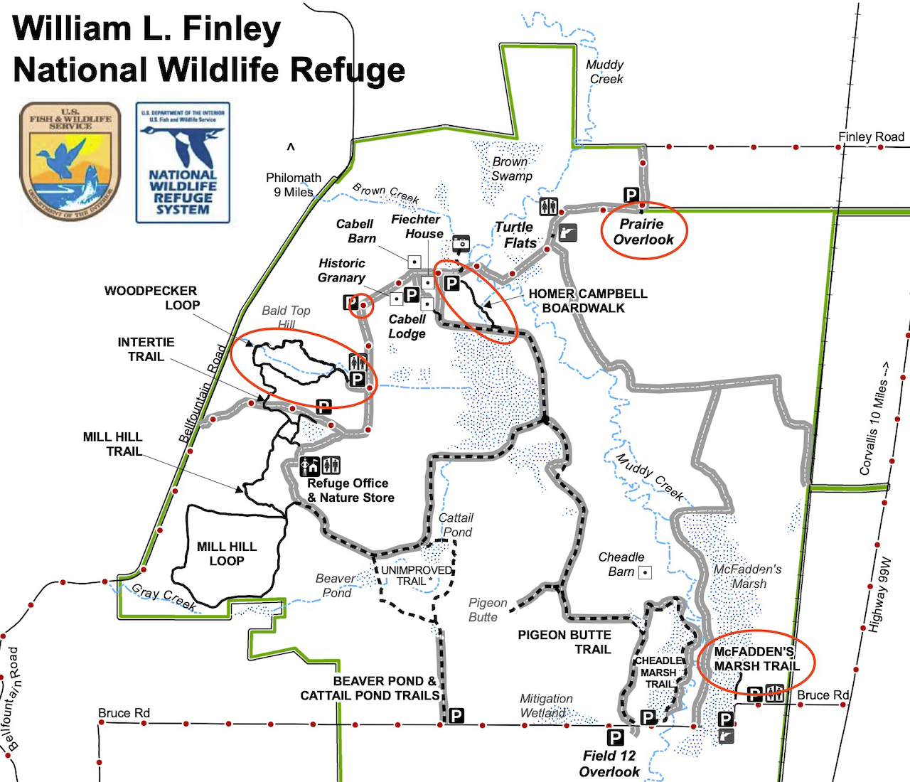 Screen Shot 2020-12-26 at 11.35.24 PM