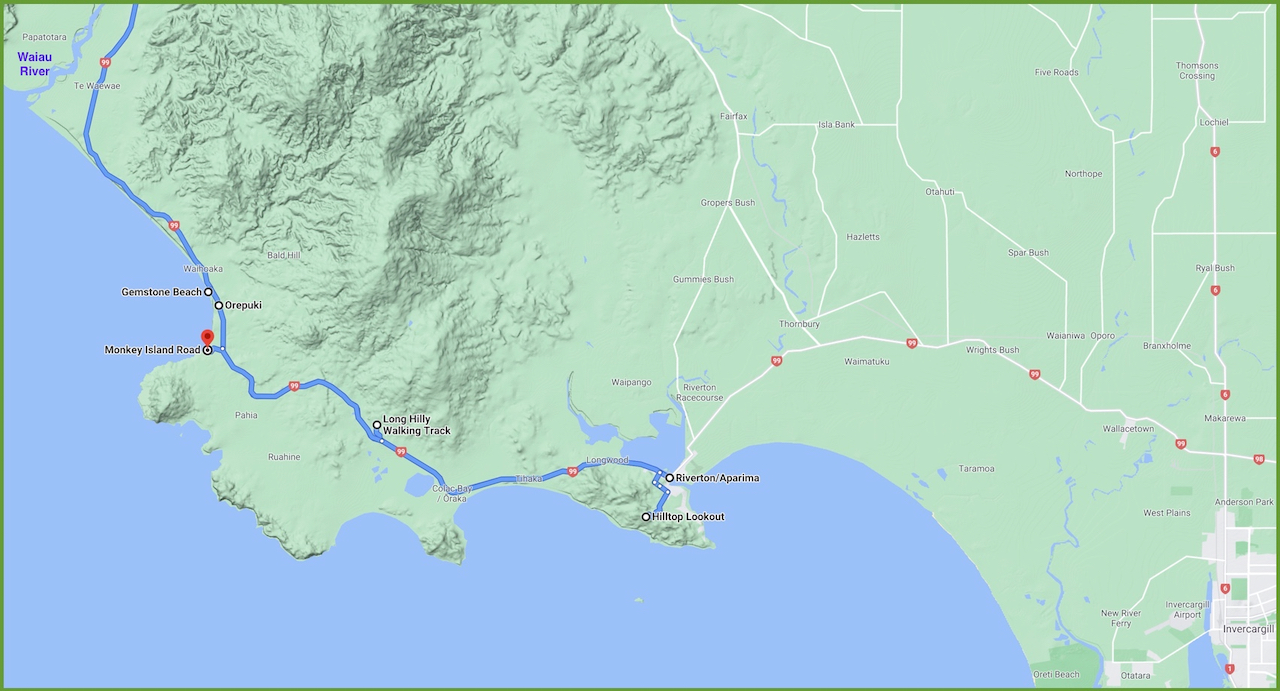 Image 8-13-21 at 6.00 PM