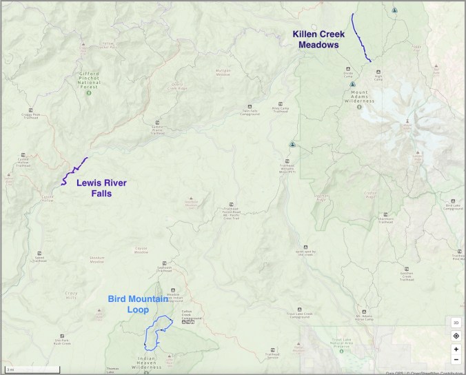Image 10-26-21 at 12.28 PM