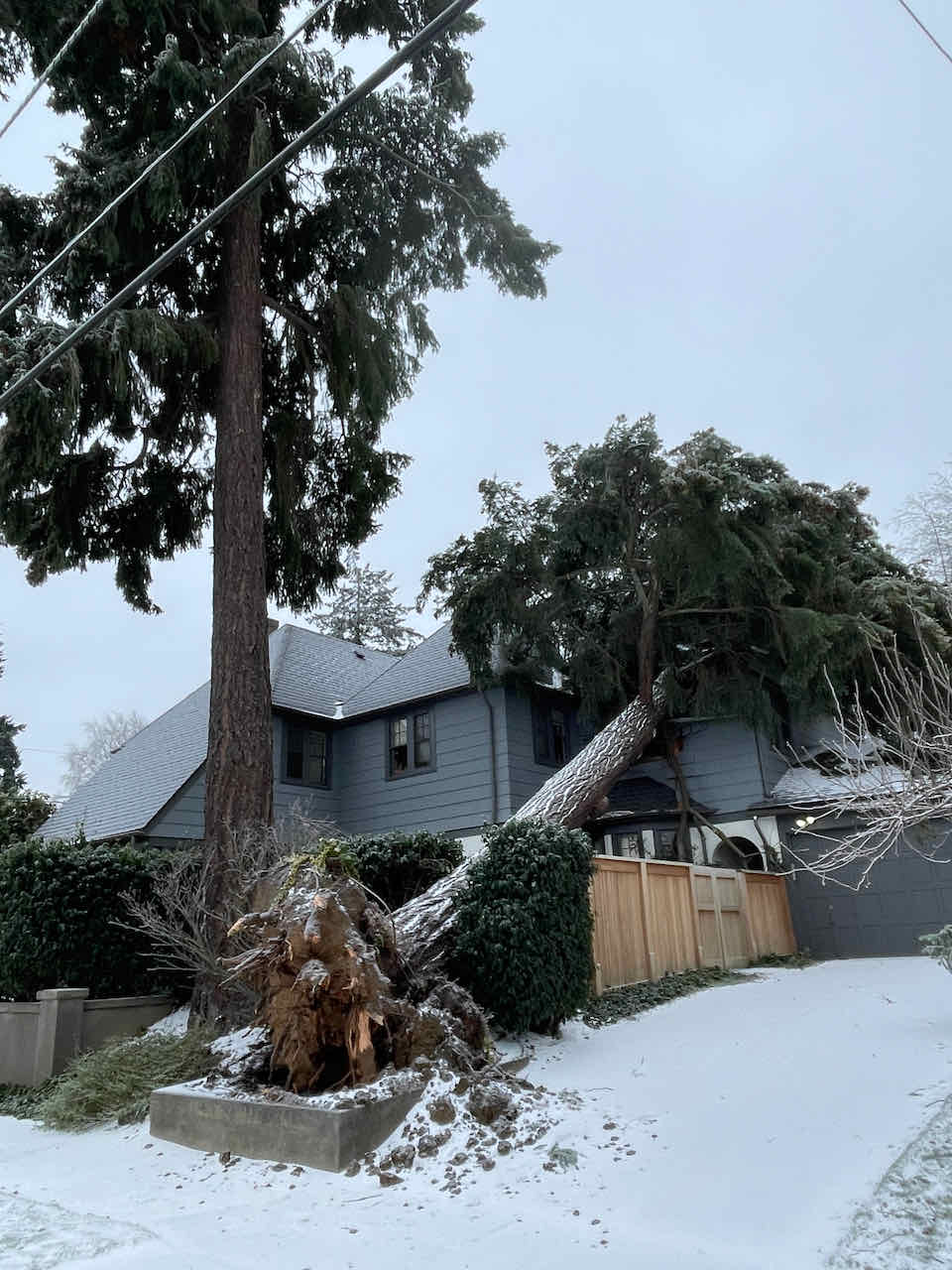 8A113934-87FA-43B6-A473-28C06427D9FE