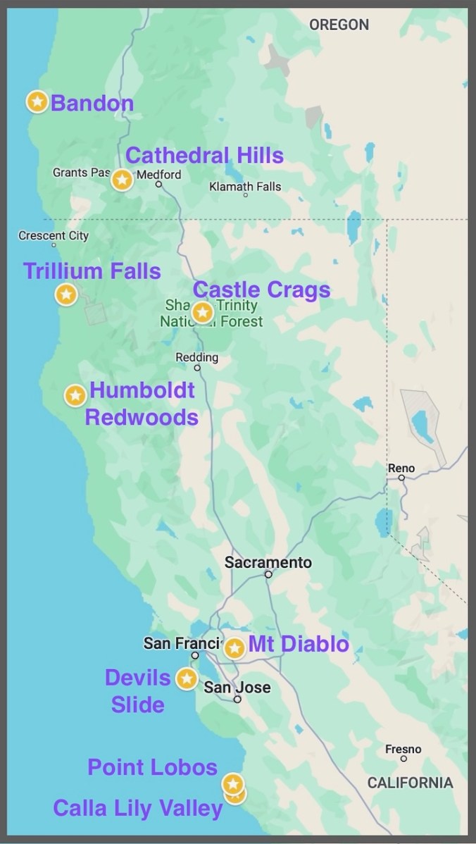 Image 5-13-24 at 10.22 AM