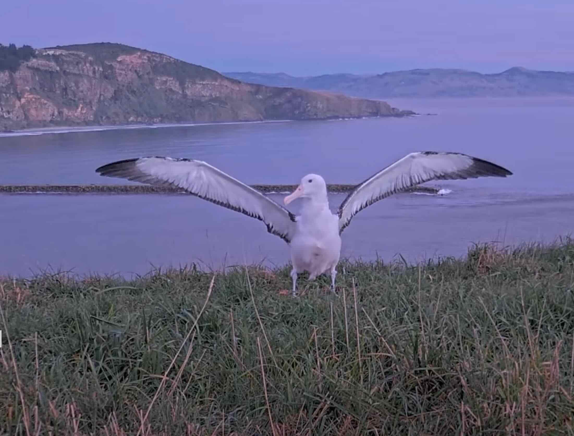 Image 8-27-24 at 12.11 PM