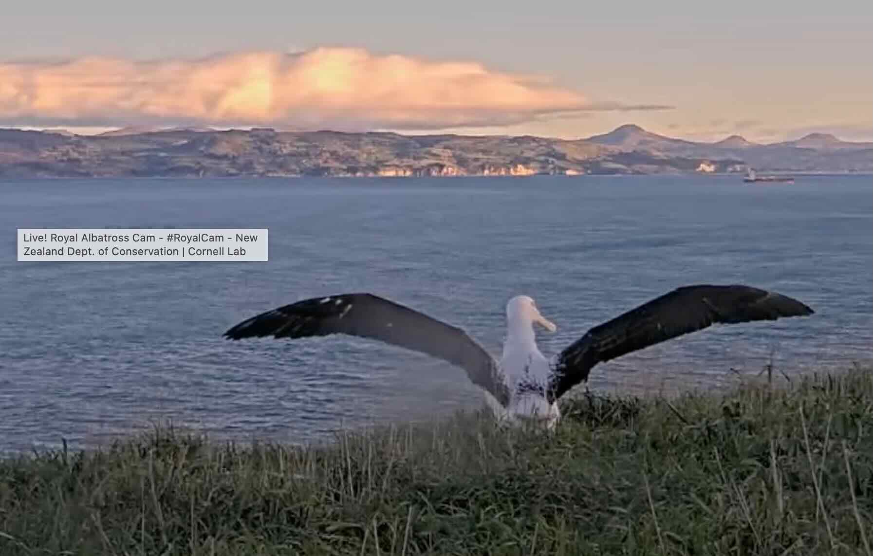 Image 9-1-24 at 4.22 PM